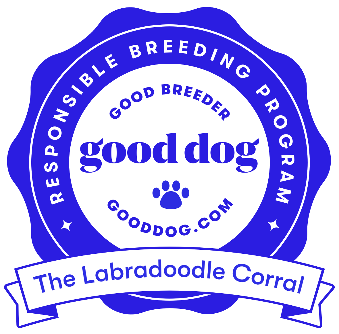 Labradoodle breeders best sale midwest